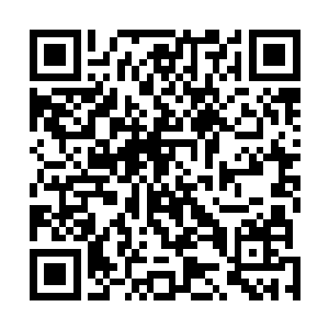 我把昨天在市购物时找的一毛钱包在纸条里给他传了过去二维码生成
