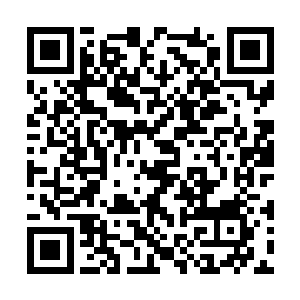 我把白纸铺在地面用笔勾勒出我认识的汪逹朋容颜二维码生成