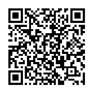 我把那老鼠抓住了一审问知道你在这边肯定是出了事二维码生成