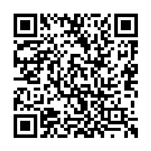 我抬手看它的时候却发现这家伙好像车轮子似的二维码生成