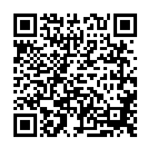 我拿到手的初步尺寸应该是三千米乘三千米的人造岛规模二维码生成