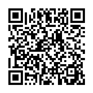 我指着陈若唯那纤细的手掌紧紧抓着的泡菜坛子二维码生成