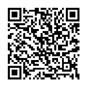 我放在床边的那几张画的乱糟糟的纸你看见了吗二维码生成