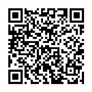 我敢说出这样的话也会因为我现在靠着付阳那一棵大树二维码生成