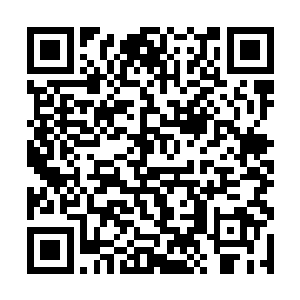 我敬佩的是那个骄傲的对我的兰花不屑一顾的乔关山二维码生成