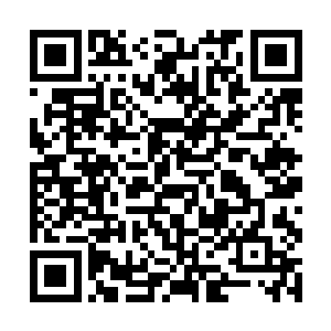 我明了汪大锤和杰西欲言又止中的欲言是想提及什么二维码生成