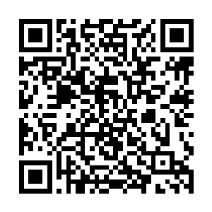 我明白想要继承深红女皇的遗产究竟要付出什么代价二维码生成