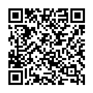 我是不会参与的……这已经给了你非常大的自主权了二维码生成
