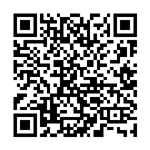 我是不是还没告诉过你现在夏天在天脉是什么身份呢二维码生成