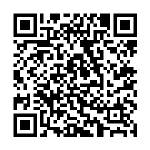 我是因为脑门给砸在了前面的后座椅上面才醒过来的二维码生成