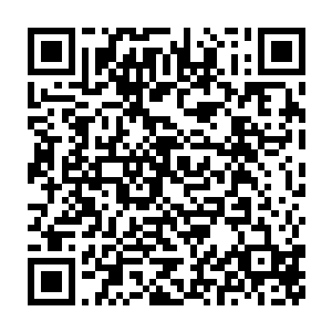 我是因缘际会之下去到了陨梦之地……这行了吧……我以前从没出来过二维码生成