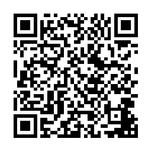 我是真的服了……这么找居然都没把我大力弟弟给找出来二维码生成