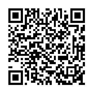我是说也许他们想尽量享受属于他们自己的时间二维码生成