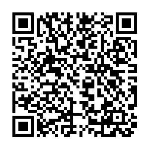 我更不可能撇下老婆和新生儿跑回家开电脑码字――做人不可能这么没心没肺吧二维码生成