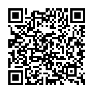 我曾披着凤冠霞帔从大明门被抬进来的大明皇后二维码生成