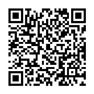 我曾经与血魂掌江如风交过手……当日一战记忆犹新二维码生成