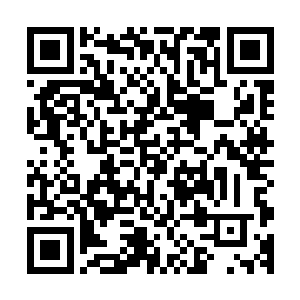 我曾经亲眼见过一个六鼎五阶的高手被抽了十鞭子后活活痛死二维码生成