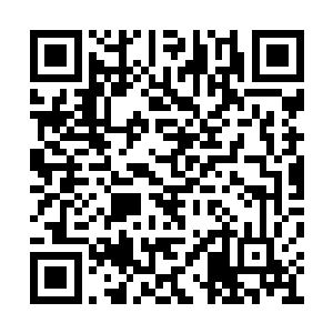 我曾经向星辰大海中无数强横无匹的存在学习过二维码生成