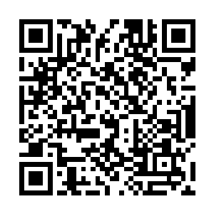 我曾经因为任务的关系在关塔那摩基地待了将近六个月二维码生成