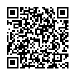 我曾经在coco面前以我克雷家族的名誉和我们的友谊之名发过誓二维码生成