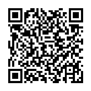 我曾经看到过一部iphone手机的激活日期只有七八天二维码生成