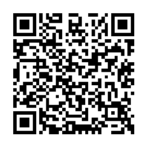 我最渴望在生日的那天获得的礼物是好好睡一觉二维码生成