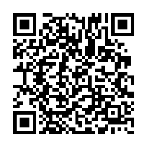 我有些崩溃的看着卓景背对着我一动不动的背身二维码生成