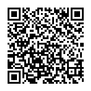 我本以为……你是想利用那发自杀式的灵爆来掩饰之前的那些追踪箭二维码生成