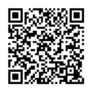 我本来只以为白奇雪一时之间会不相信我说的话二维码生成