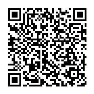 我本来想问雅文指的是我手被烫得疼不疼还是胳膊被她拽得疼不疼二维码生成