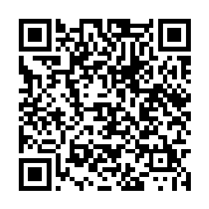 我本该继续躲藏一段时日等他松懈一些再离开此地二维码生成