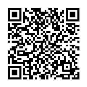 我来到这里这么长的时间也没有找到东方世家的隐藏的地方二维码生成