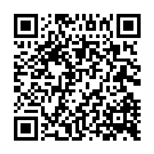 我极度怀疑是某个恐怖组织刻意针对联调局的武装报复行动二维码生成