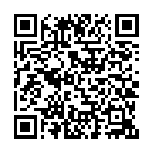 我正好仔细写一份关于八大山人的画作研究报告二维码生成