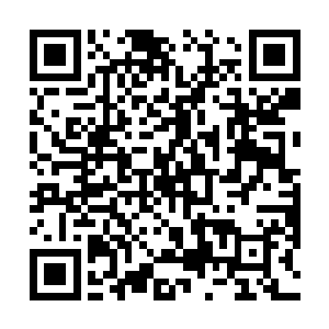 我正想针对我和白奇雪这些天的感情进展发表一番感慨二维码生成