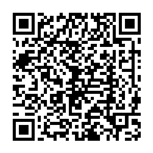 我正是从我父亲留下的这本笔记当中才发现了有关小女孩的真正秘密二维码生成