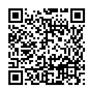 我比天启组织和地球意志更能敏锐认识到您的价值二维码生成