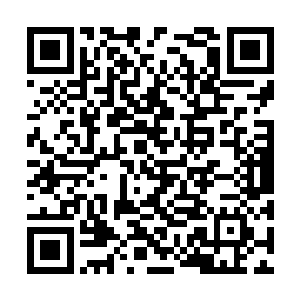 我没有多余的时间可以如她一样无忧无虑只管念书二维码生成