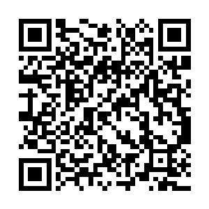 我父母的晶石战舰和萧玄策的晶石战舰在一起避难二维码生成