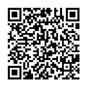 我爷爷跟齐思聪的爷爷当年也是一起并肩作战的弟兄二维码生成