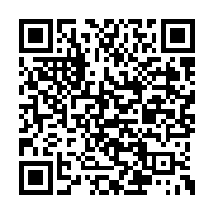 我爸妈那次为了帮咱们还钱连养老钱都拿出来了二维码生成