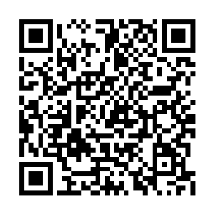 我爸每天回来都得抱怨两句……国内市场销不动二维码生成