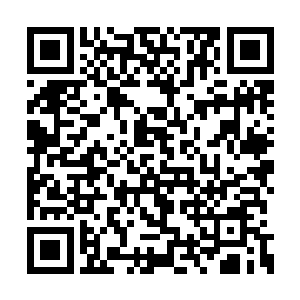 我爹在我等兄妹还年幼的时候不明不白地死去了二维码生成
