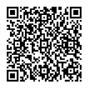 我现在也会和寝室里面的那些女孩子一样每天挤一个小时的公车抱着简历往人才市场跑吧二维码生成