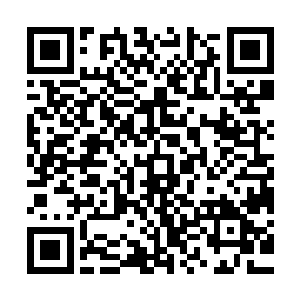我现在体内的每一个细胞都在承受着由内而外散发出来的疼痛感二维码生成