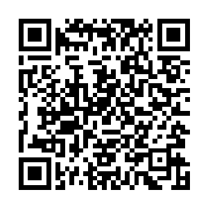我现在很忐忑的不知道这个成绩究竟能不能入得编辑的眼二维码生成