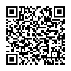 我现在明白岳公爷蒙受不白之冤为何不挣扎反抗了二维码生成