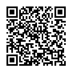 我现在有点明白了夏侯家为什么能扶起几代霸主二维码生成