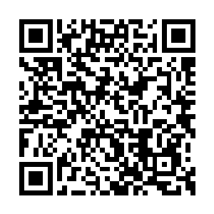 我现在有着一个办法压制小姐的体内暴乱的法力二维码生成