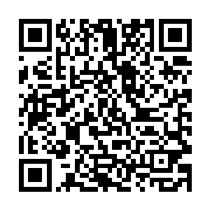 我现在真正急缺的其实是掩护步兵快速突击的装甲车二维码生成